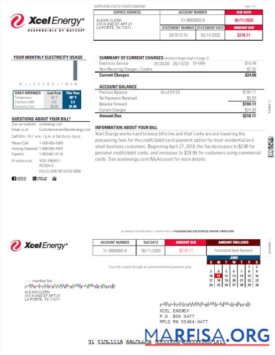 Downloadable USA XCEL ENERGY utility bill Word and PDF template